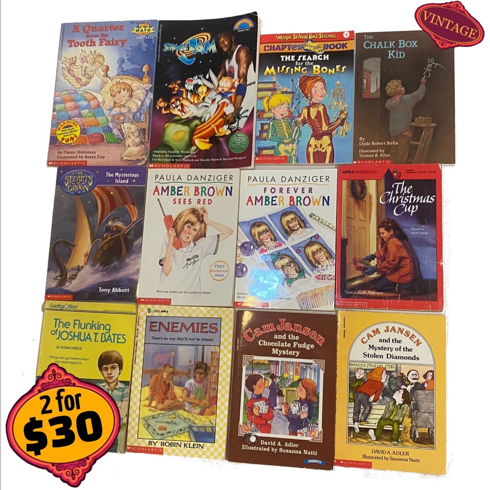 🎉2/30 Set of 12 Books Early Reader RL3 Illustrated Elementary School Stories
